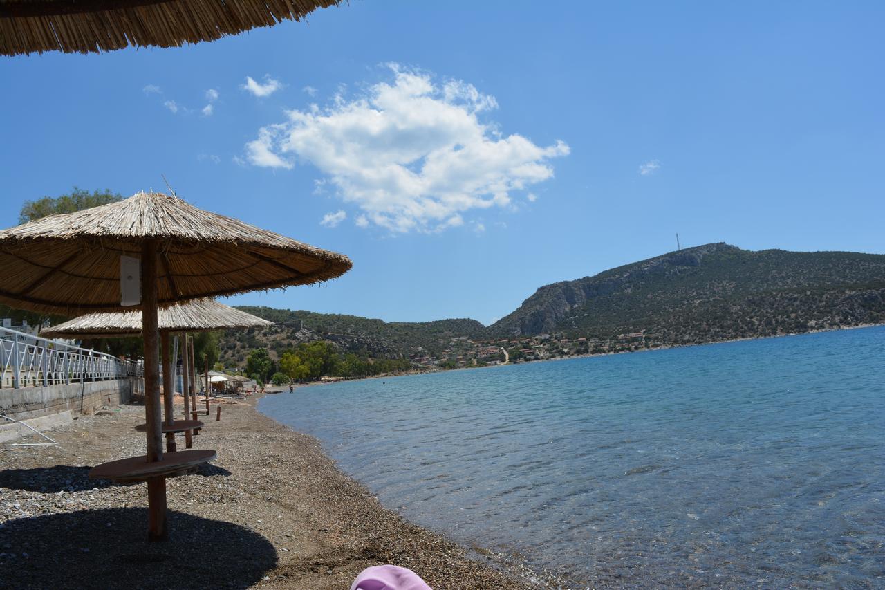 Seaside Hotel *